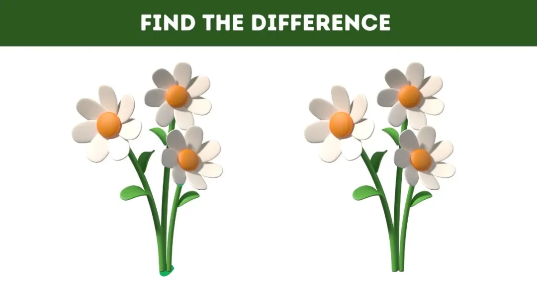 Optical illusion: Only Genius Find the Difference in 7 Seconds!