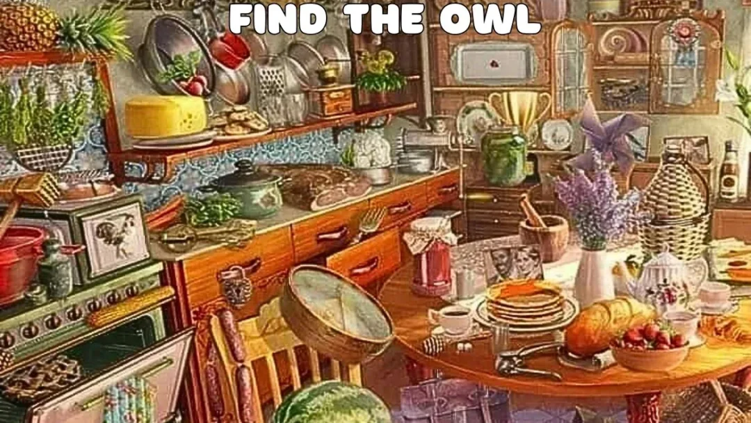 Can You Spot the Owl Hidden in This Busy Kitchen in Just 6 Seconds?