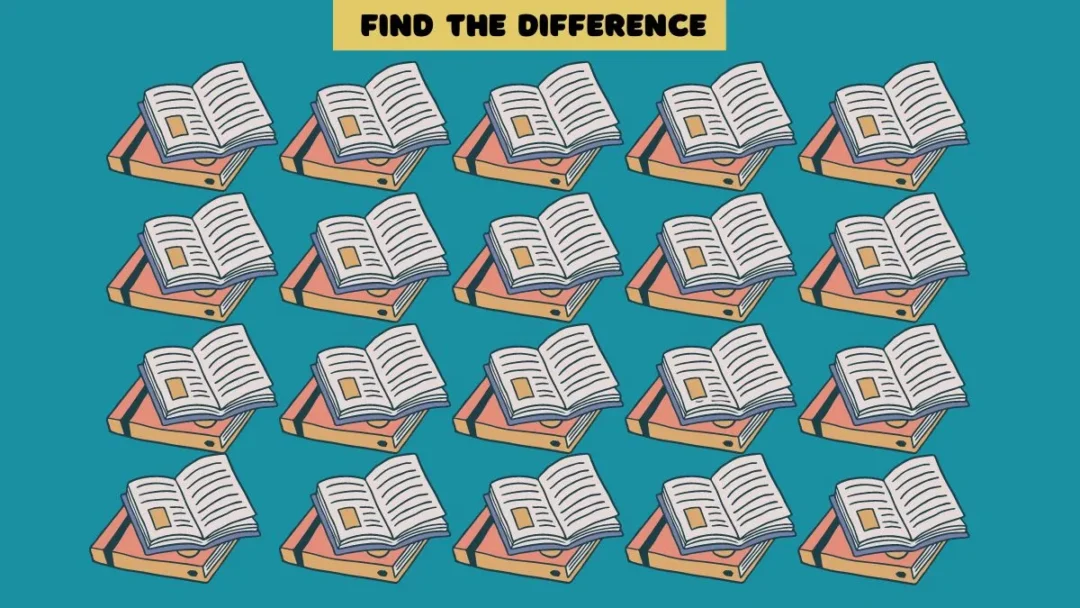 Find the Difference in 13 Seconds in These Bulk of Books!
