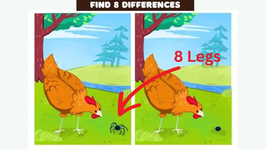 Only 1% of High IQ Minds Can Spot 8 Differences in This Chicken Scene in 8 Seconds! 3 Spot 8 Differences in This Chicken Scene 8 leg of spider is the answer