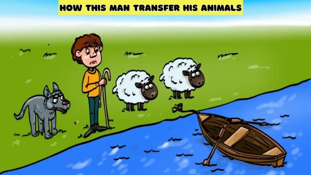 Save these two sheep from the wolf