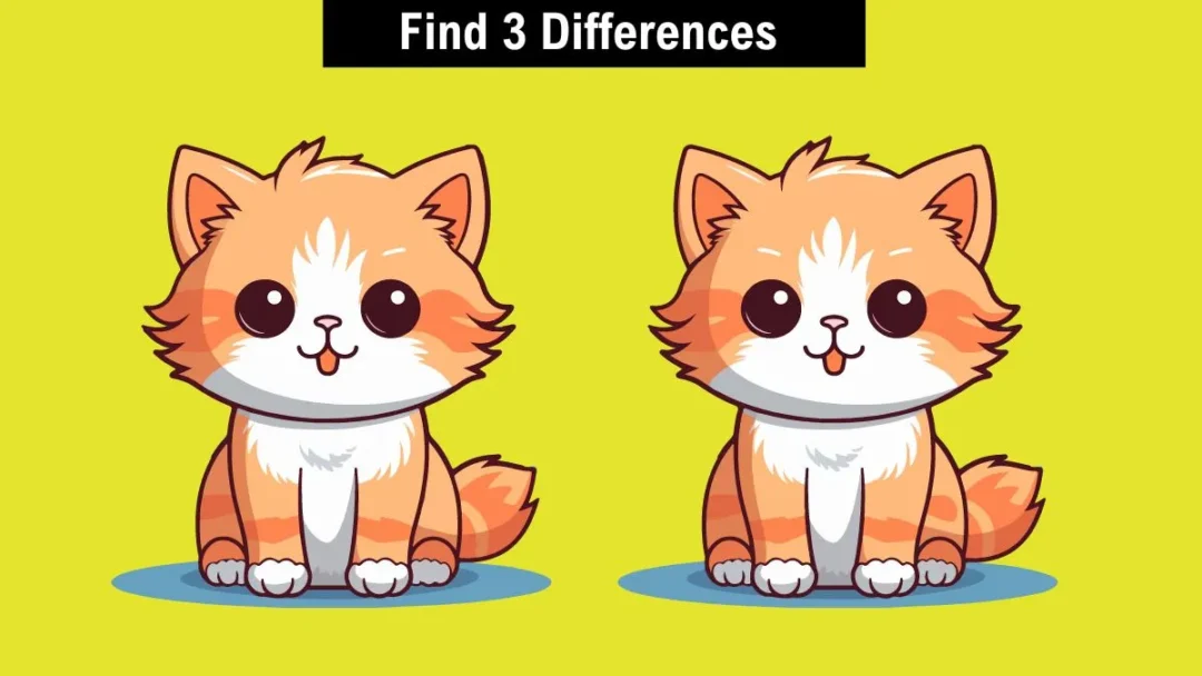 You Have F16 Jet Pilot Vision if You Spot 3 Differences in Cats in 13 Seconds!