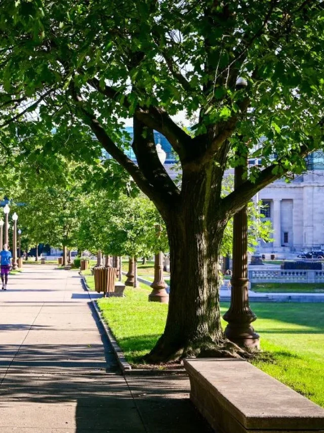 10 Calming Morning Habits to Transform Your Day in 2025