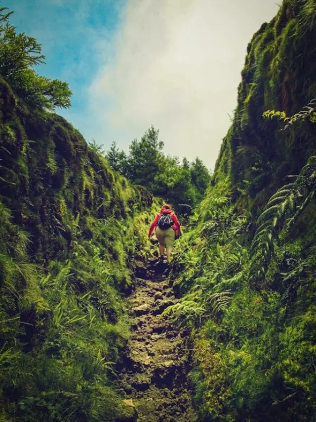 10 Reasons to Make Personal Growth Your #1 Priority in 2025