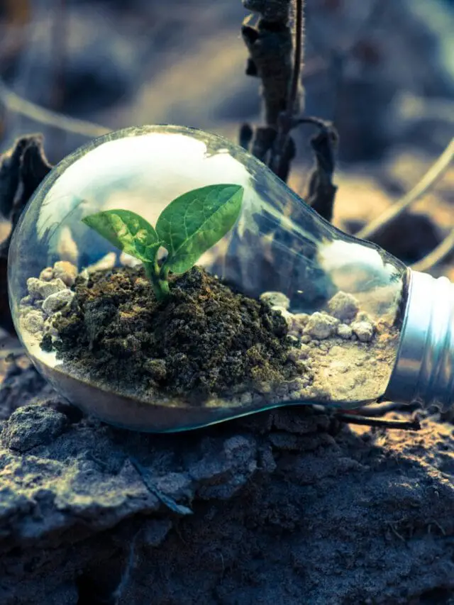 10 books about growth mindset you must read in 2025