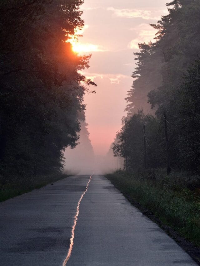 10 Positive Good Morning Messages to Brighten Your Day