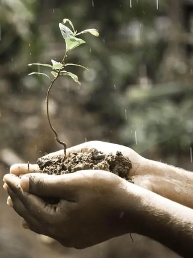 7 Tiny Changes That Can Make Life Better