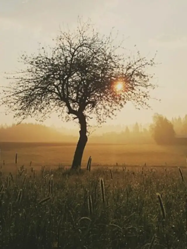 8 Morning Habits Everyone’s Talking About This Year