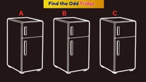 Find the Odd One Out: Only 1% Can Spot the Different Fridge in This Brain Puzzle!