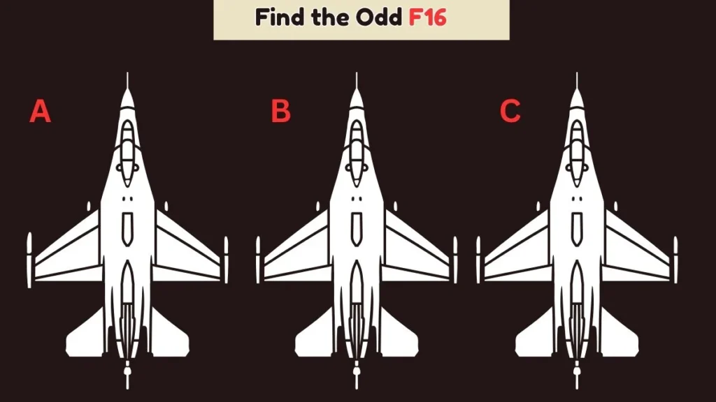 If You Possess a 140+ IQ, You’ll Instantly Spot the Odd F16 Before Time Runs Out
