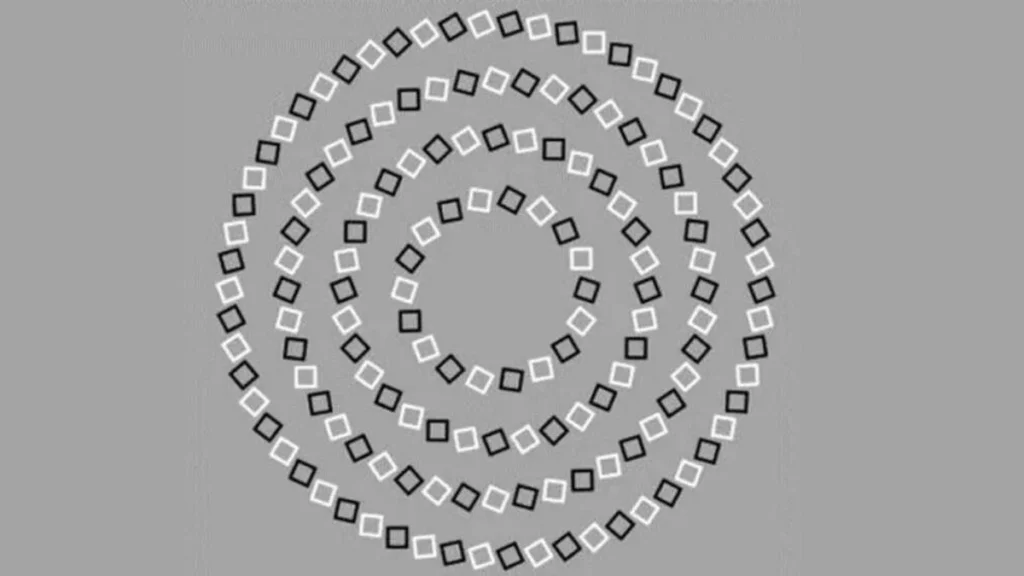 How Many Circles Do You See?