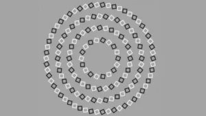 How Many Circles Do You See?