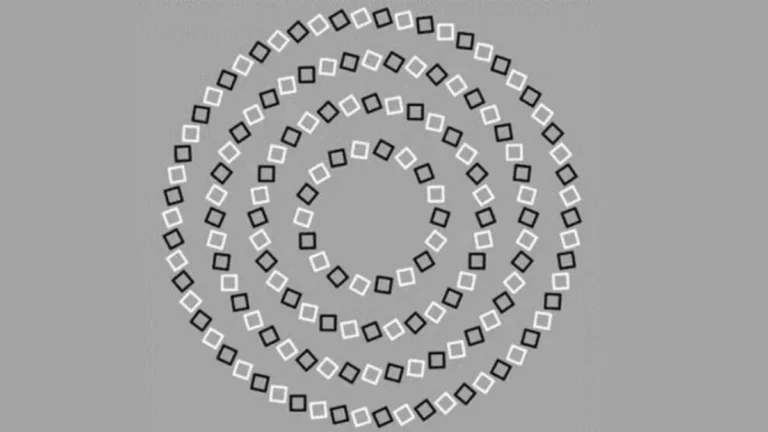 How Many Circles Do You See?