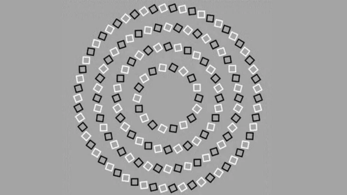 How Many Circles Do You See?