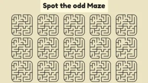 Only Geniuses Can Spot the odd Maze in Under 50 Seconds!