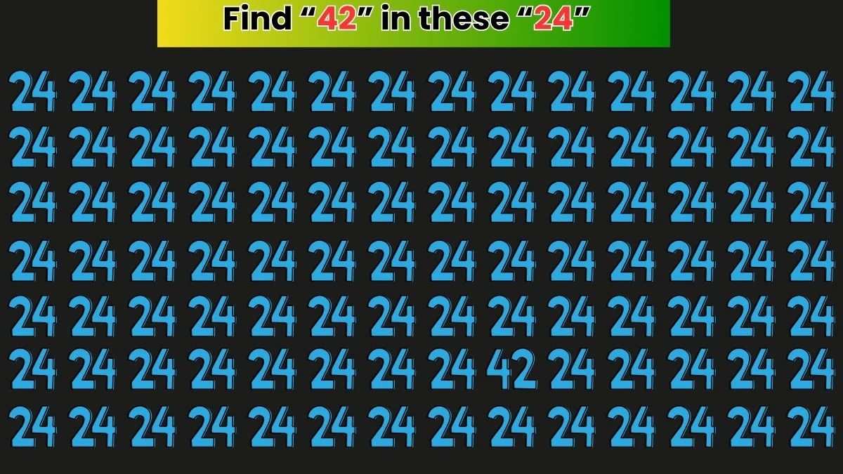 Visual Illusions Puzzle: Only High IQs Can Find 42 Hidden in a Sea of 24s!