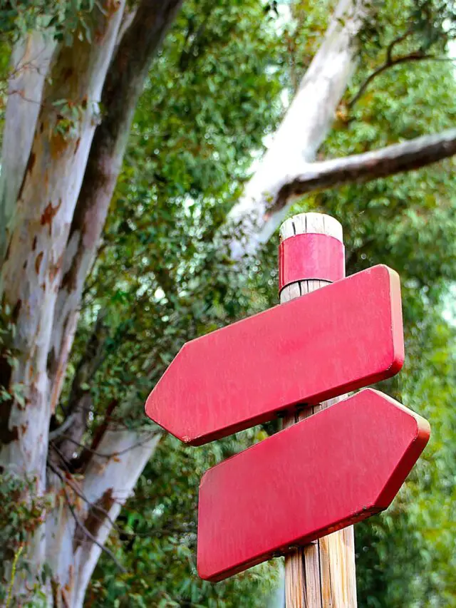 9 Daily Decisions That Shape a Rich Life