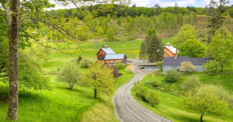 countryside quiz