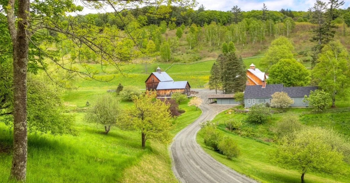 countryside quiz