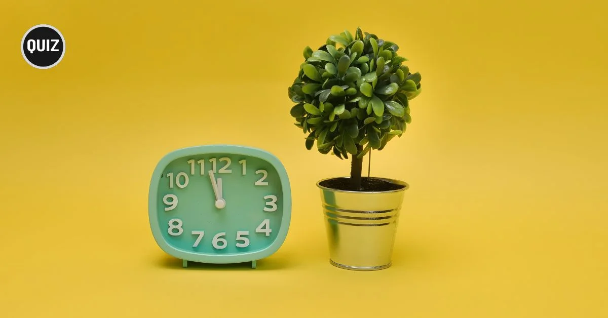 Quiz: Are You a Time Waster or Time Builder?