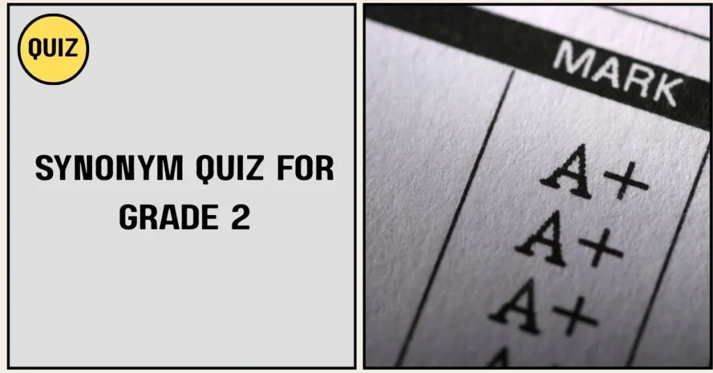Synonym Quiz for Grade 2