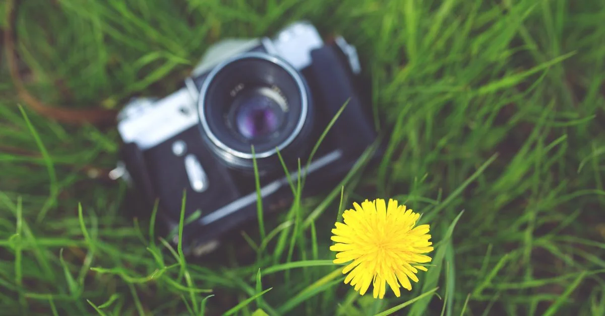 8 Life-Changing Hobbies That Improve Your Brain, Mood, and Future