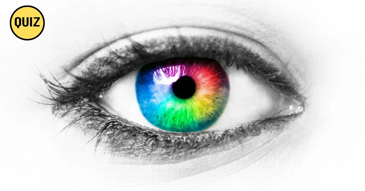 What is My Eye Color?