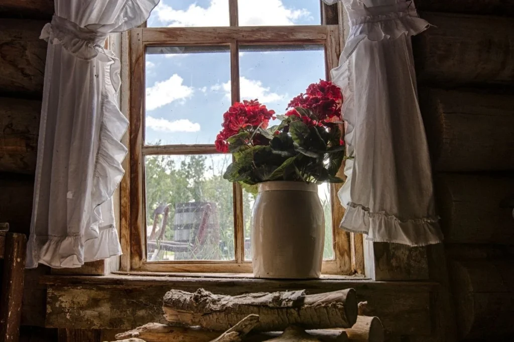 12 New Things To Try Everyday To Improve Mindset And Life 1 12 New Things To Try Everyday To Improve Mindset And Life