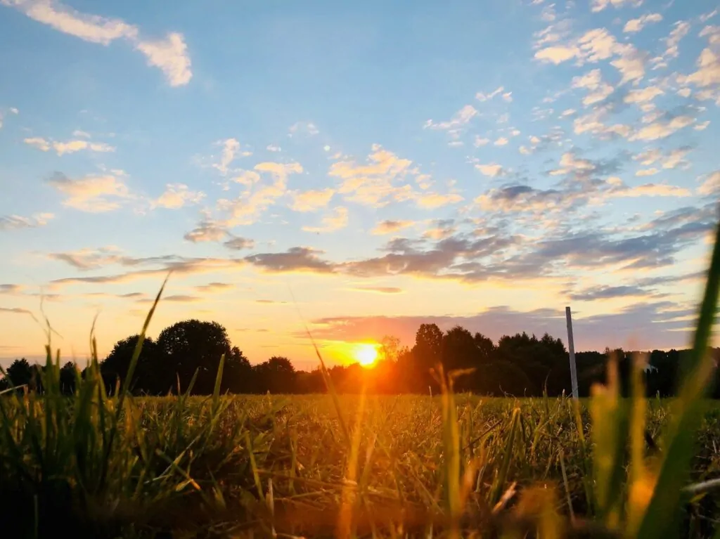 25 Refreshing Things to Do Outside by Yourself 3 green grass field during sunset
