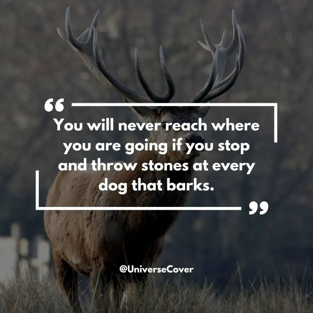 150 Deep Meaningful Quotes That Hit Different in 2026 93 "You will never reach where you are going if you stop and throw stones at every dog that barks."