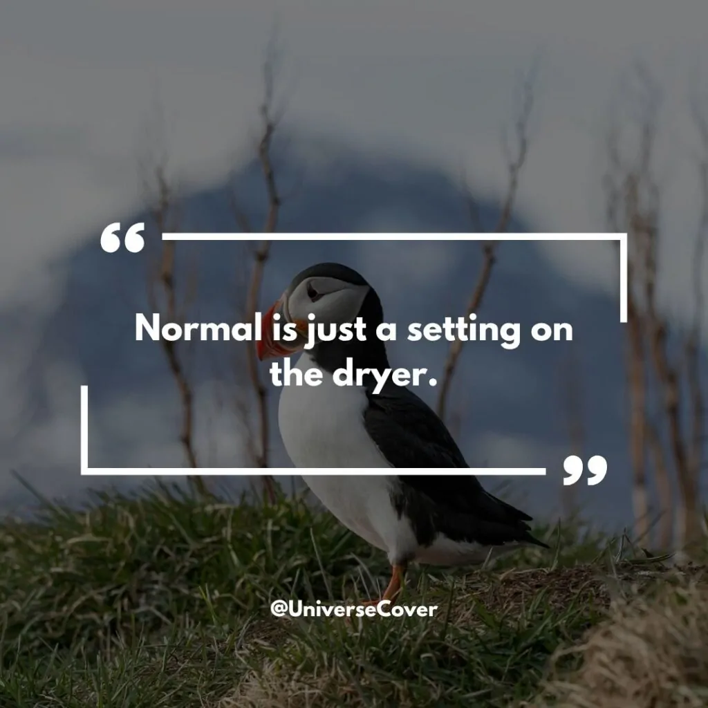 150 Deep Meaningful Quotes That Hit Different in 2026 95 "Normal is just a setting on the dryer."