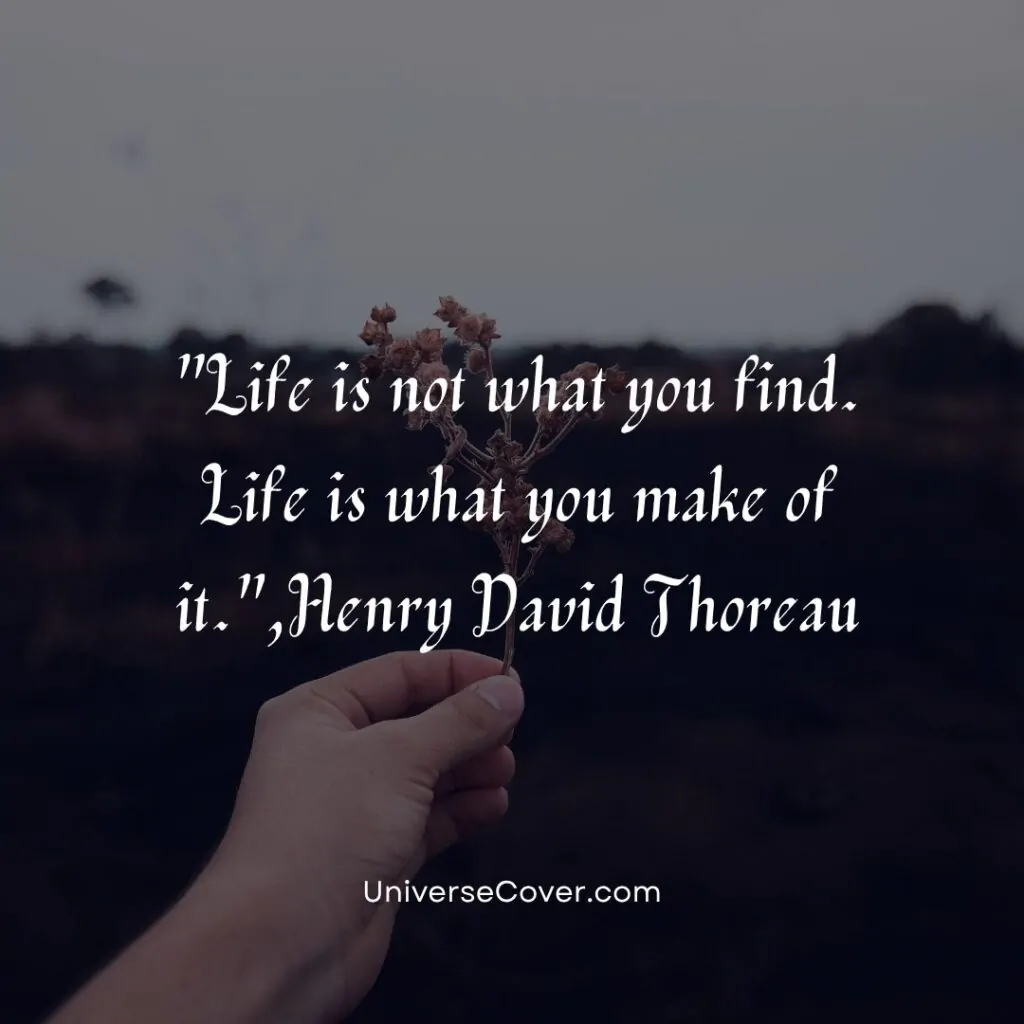 Life is not what you find. Life is what you make of it.