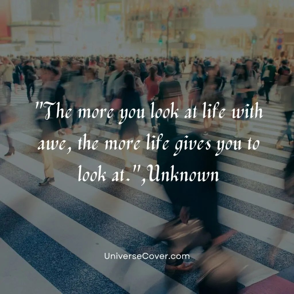 The more you look at life with awe, the more life gives you to look at.