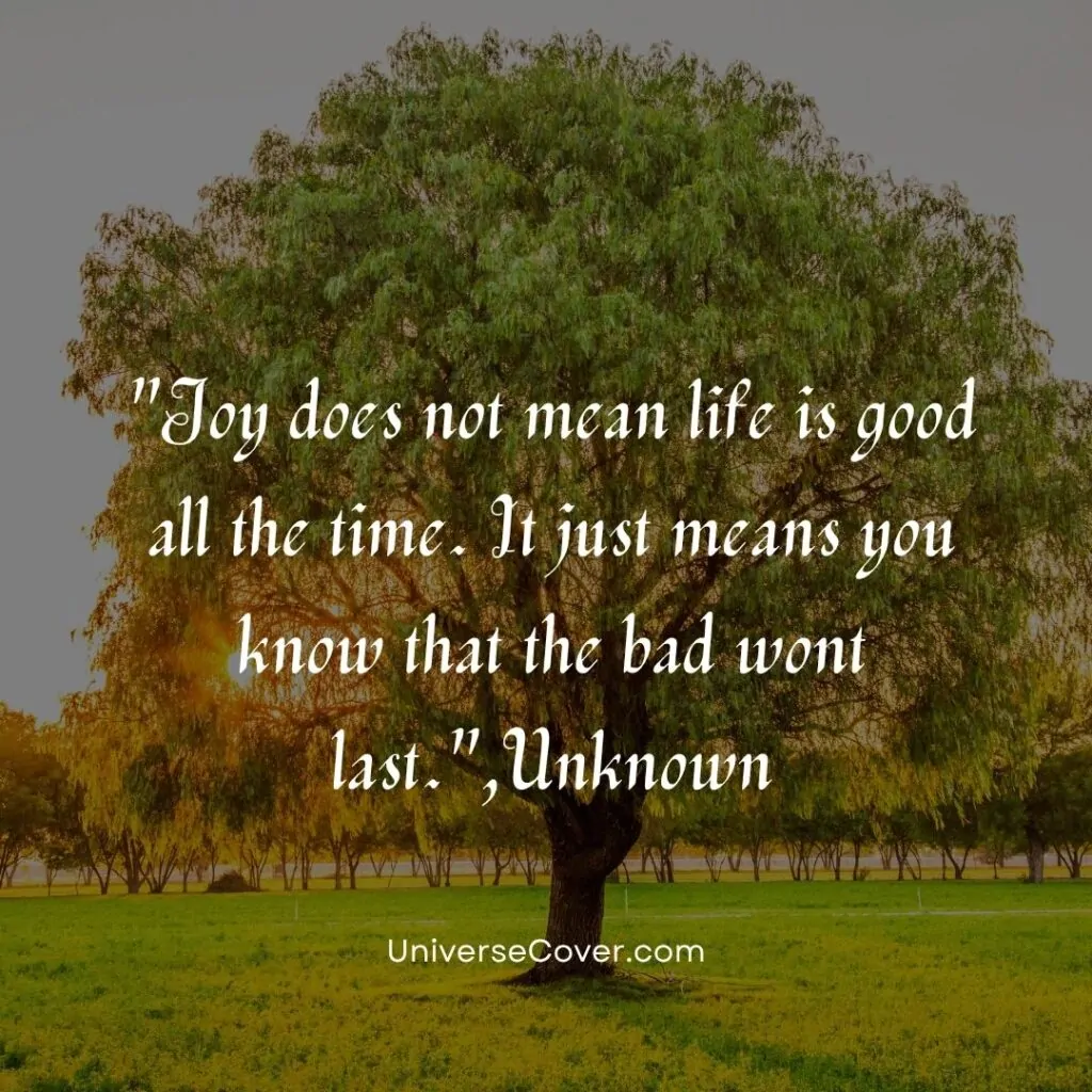 Joy does not mean life is good all the time. It just means you know that the bad wont last."
