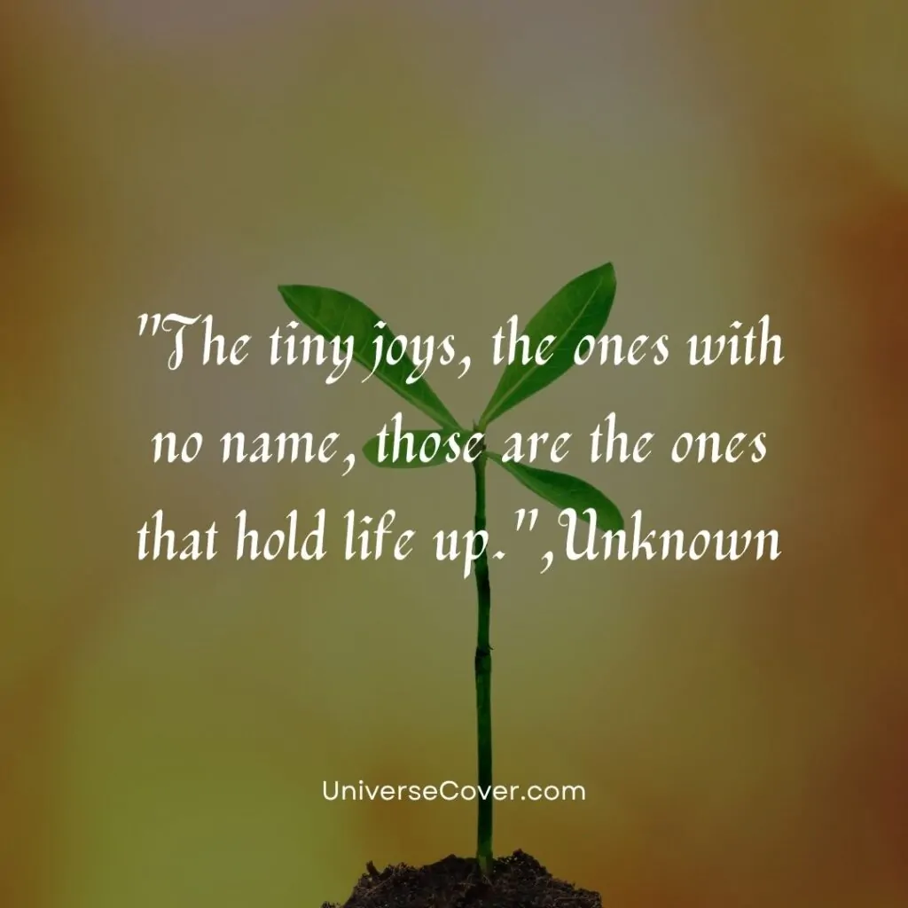 The tiny joys, the ones with no name, those are the ones that hold life up.