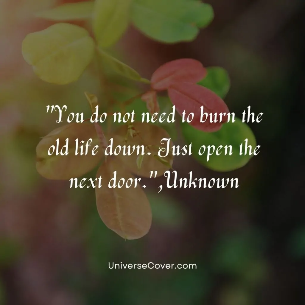 "You do not need to burn the old life down. Just open the next door."