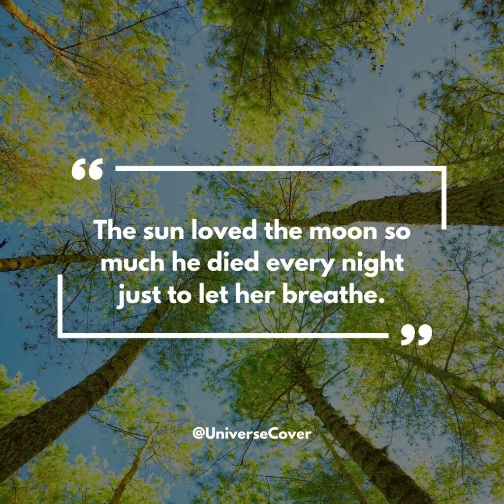 150 Deep Meaningful Quotes That Hit Different in 2026 131 "The sun loved the moon so much he died every night just to let her breathe."