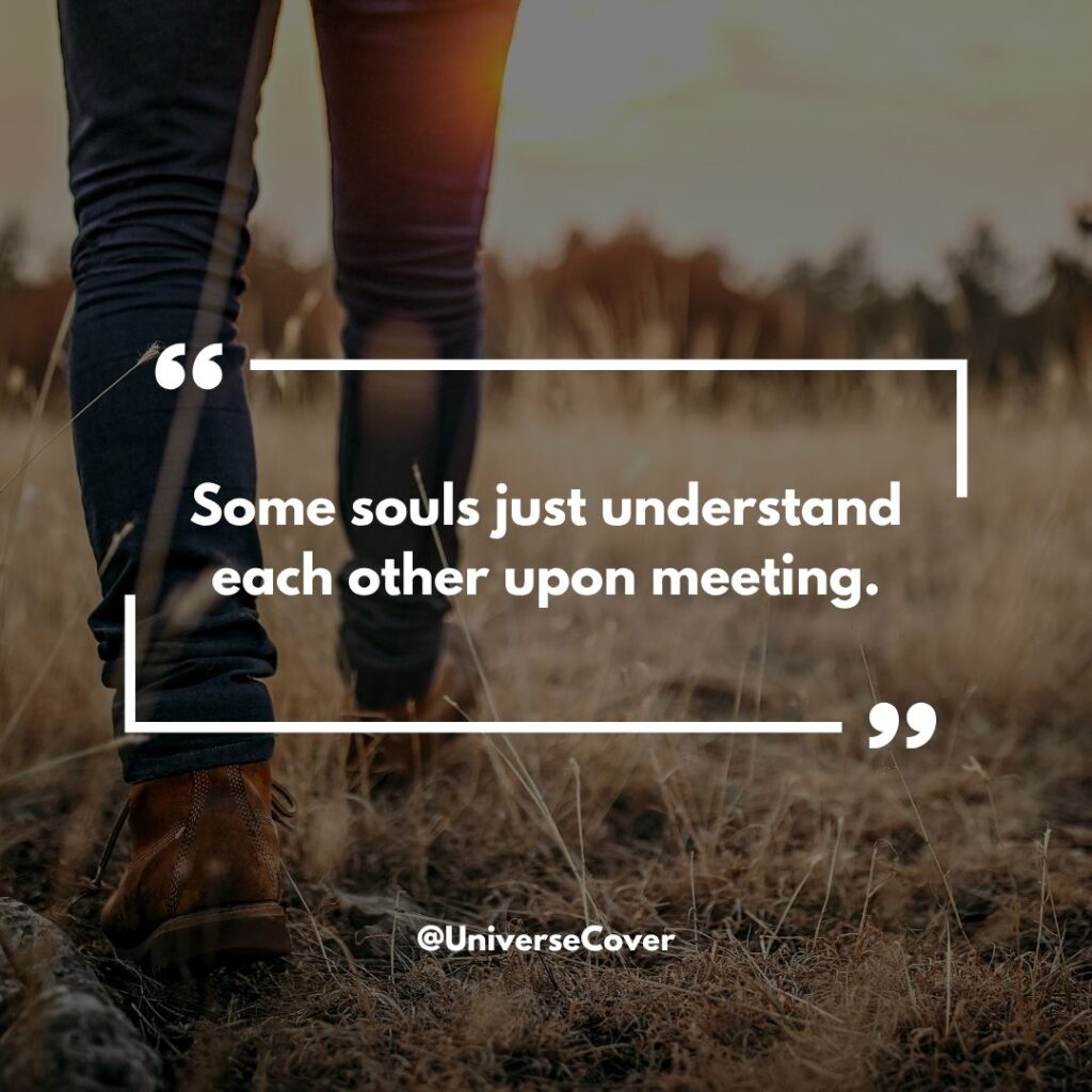 150 Deep Meaningful Quotes That Hit Different in 2026 132 "Some souls just understand each other upon meeting."