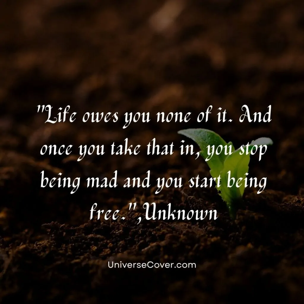 Life owes you none of it. And once you take that in, you stop being mad and you start being free.