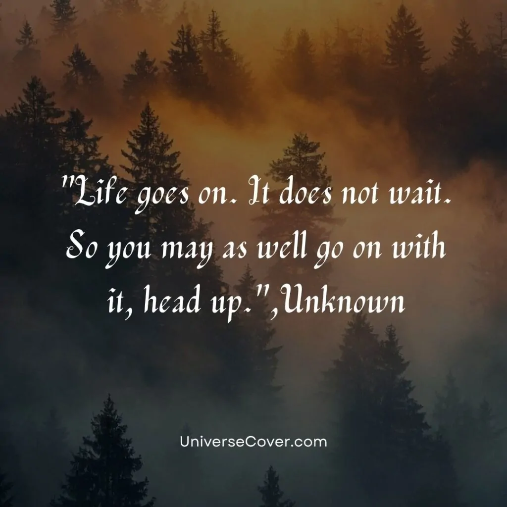 "Life goes on. It does not wait. So you may as well go on with it, head up."
