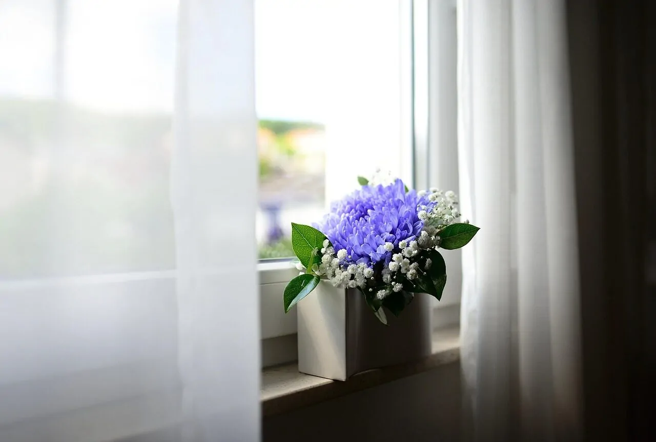flower vase, window, curtains, room, purple flower, decorative, decoration, window, curtains, curtains, curtains, curtains, curtains, room