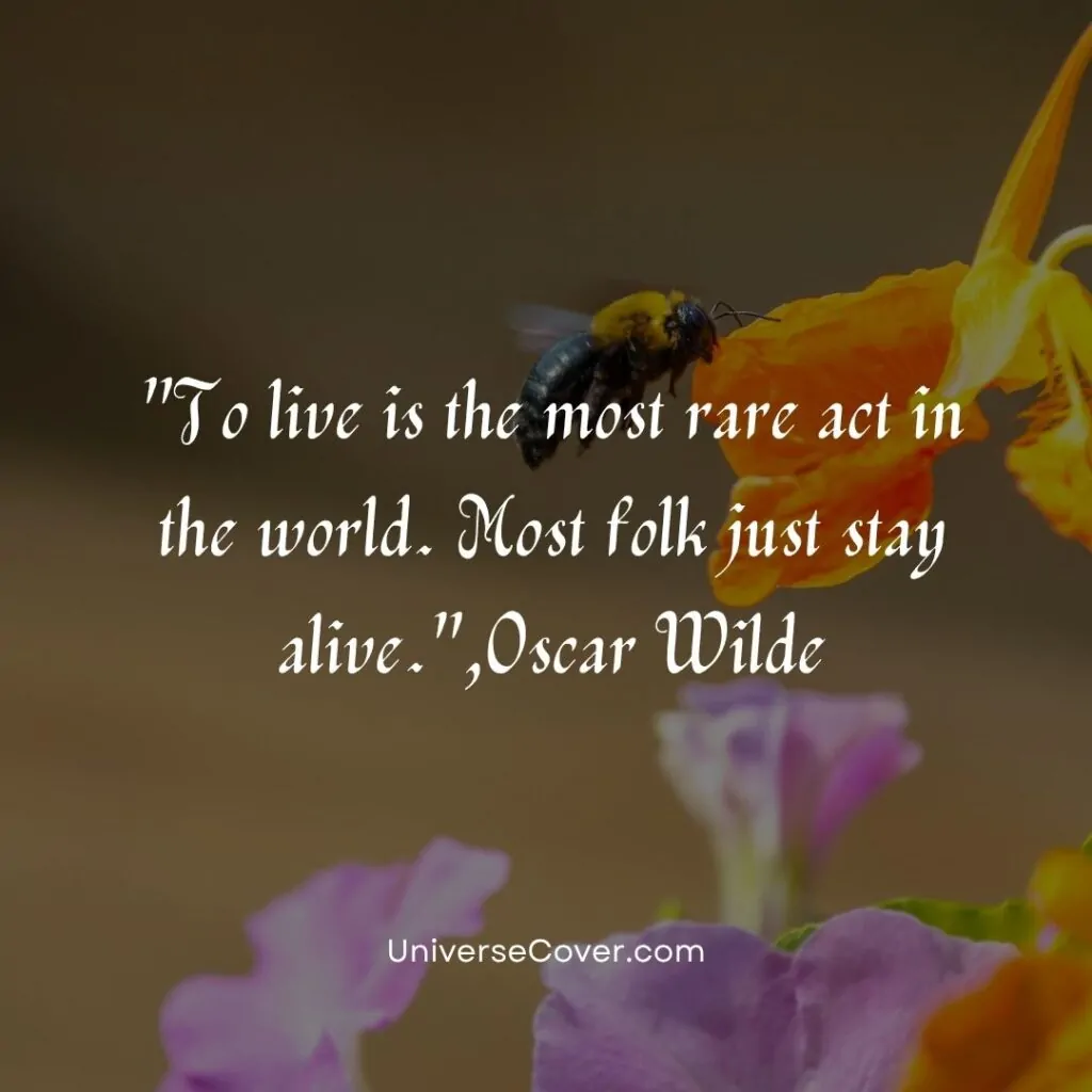 To live is the most rare act in the world. Most folk just stay alive.