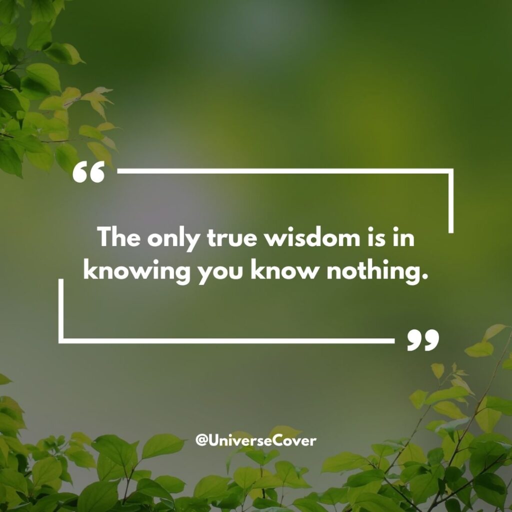 150 Deep Meaningful Quotes That Hit Different in 2026 73 The only true wisdom is in knowing you know nothing." - Socrates