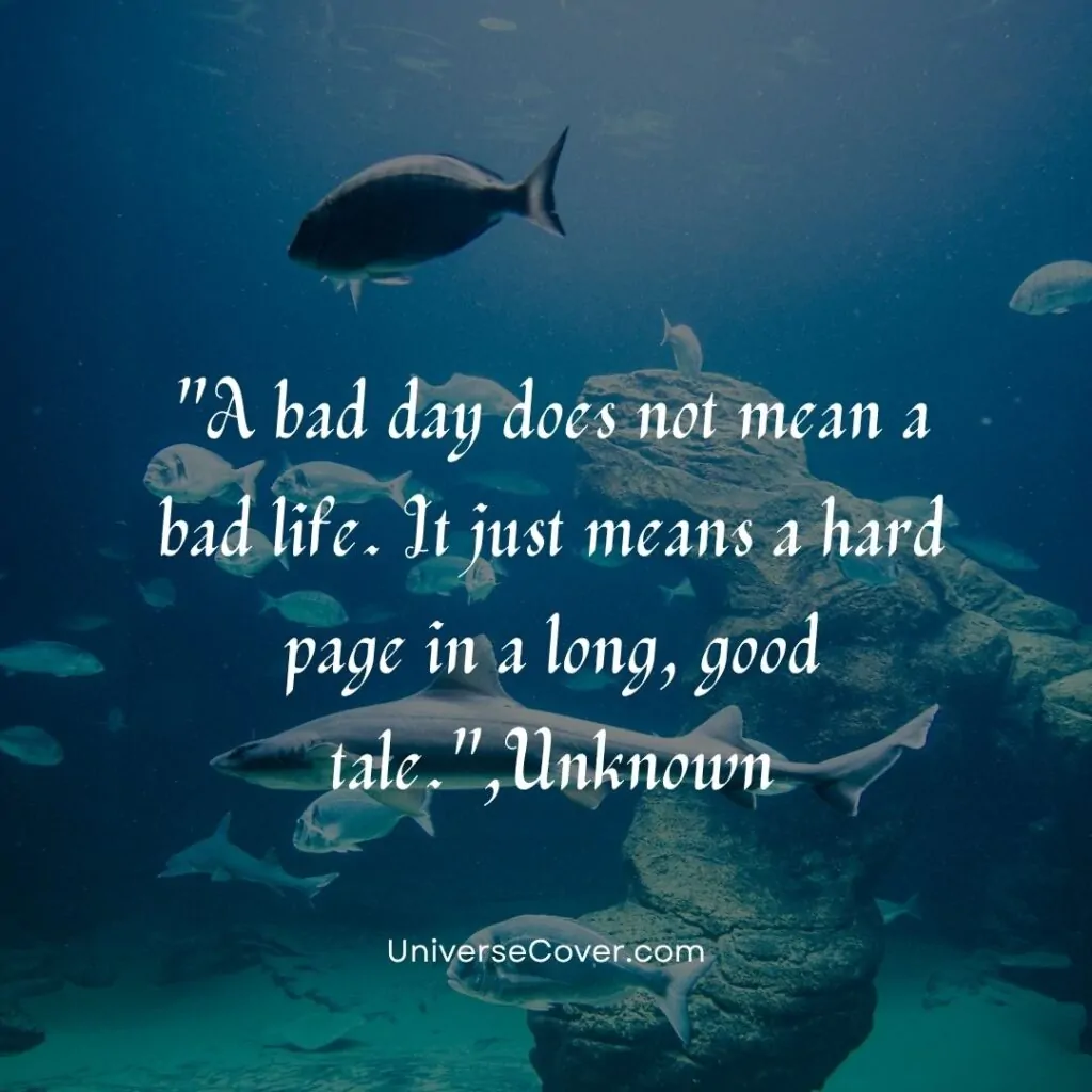 A bad day does not mean a bad life. It just means a hard page in a long, good tale.