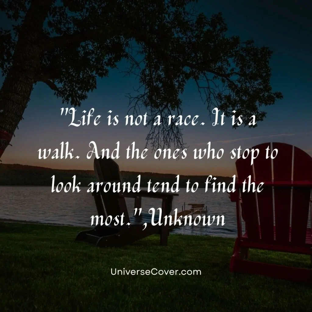 Life is not a race. It is a walk. And the ones who stop to look around tend to find the most.