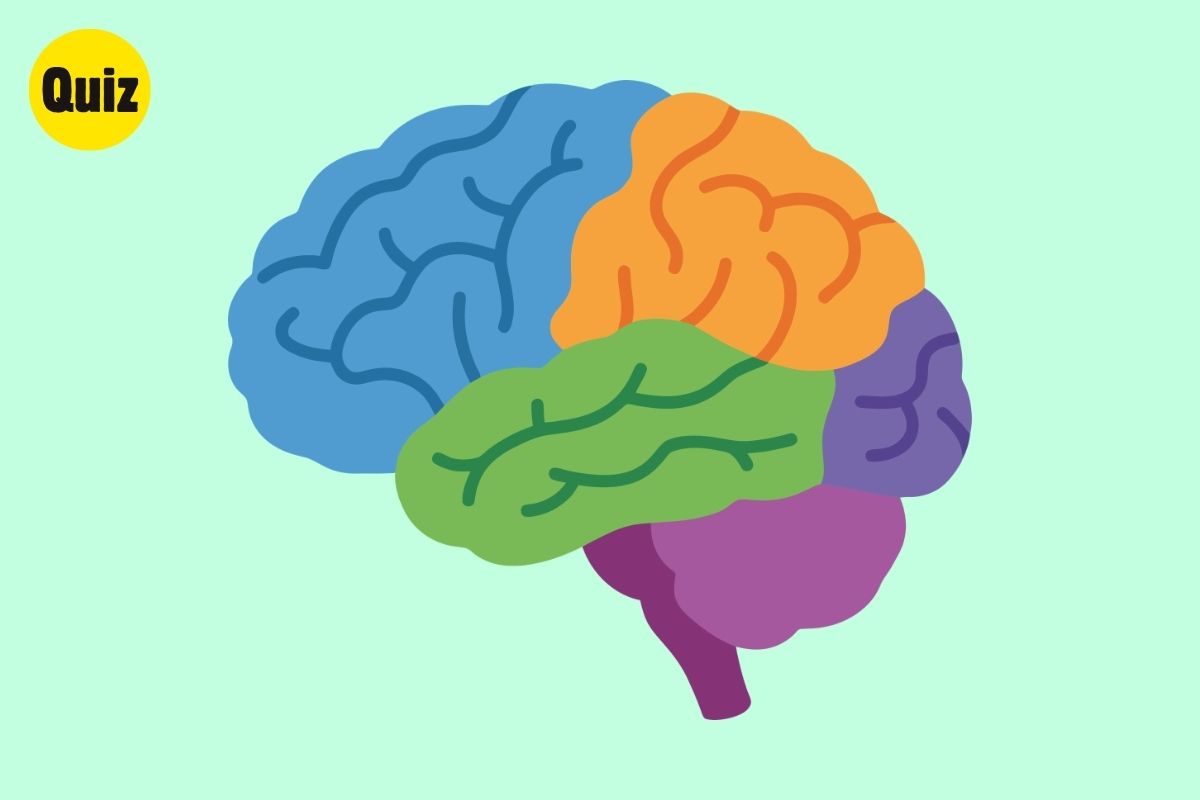 Which Side of Your Brain Dominates? Take this Quiz