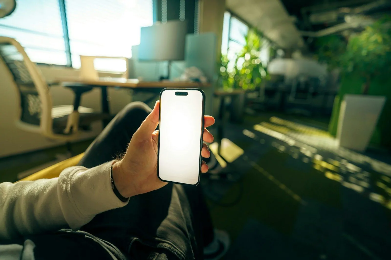 Person holding a smartphone with a blank screen.
