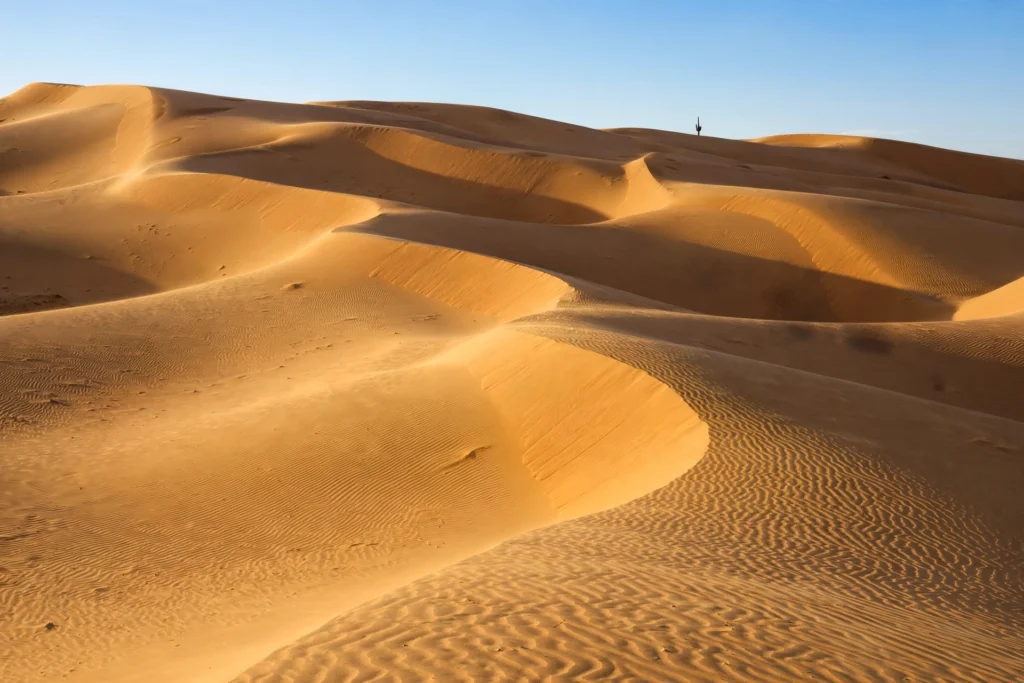 Desert Would You Rather Questions