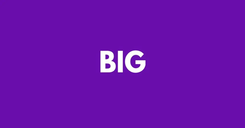 BIG Synonym
