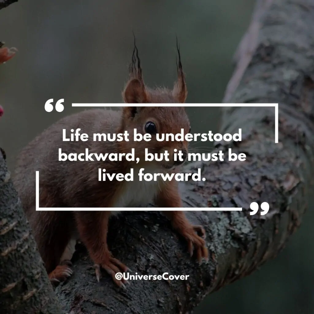 Life must be understood backward, but it must be lived forward." - Soren Kierkegaard